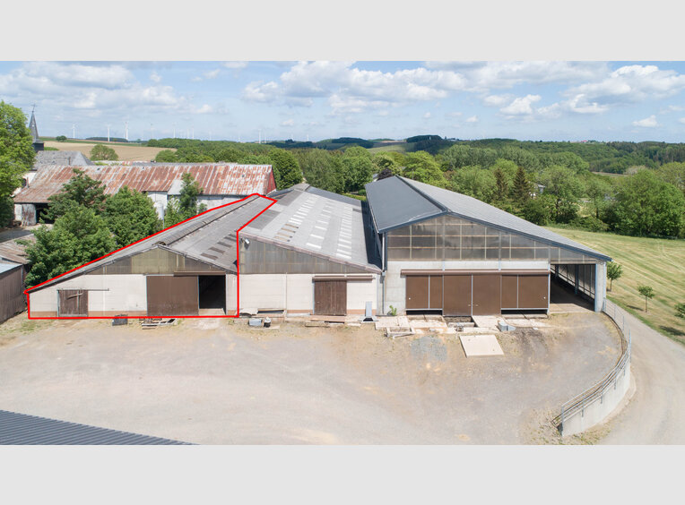 Entrepôt à louer à Leidenborn (DE) - Réf. 7026025