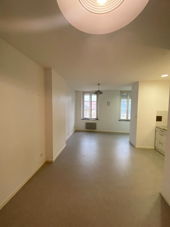 Appartement à louer Metz-Les Iles