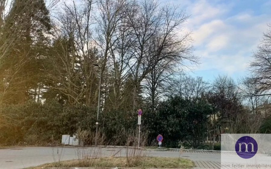 Terrain constructible