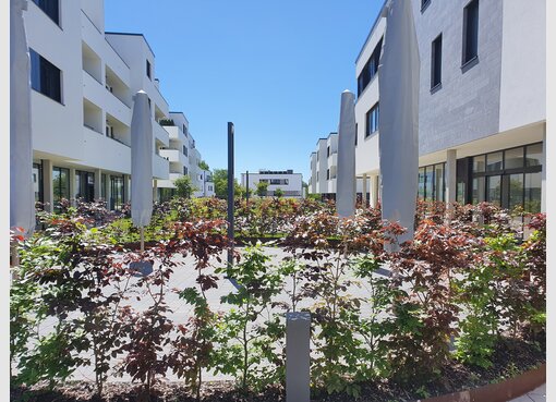 Bureau à louer à Steinfort (LU) - Réf. 7171497