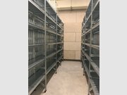 Entrepôt à louer à Windhof (Windhof) - Réf. 6320617