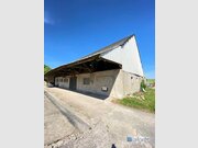 Entrepôt à louer à Nachtmanderscheid - Réf. 7220457