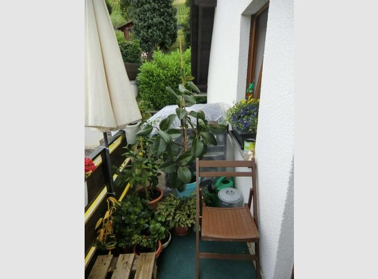 Immeuble de rapport à vendre 10 Pièces à Waldrach (DE) - Réf. 7262185