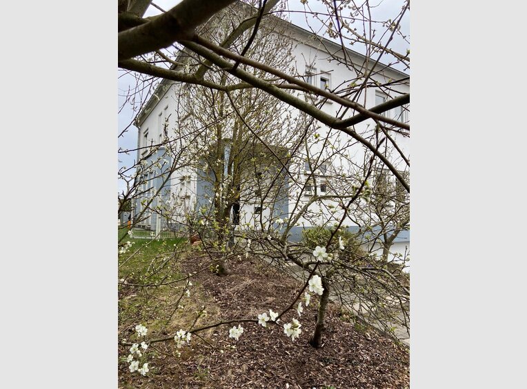 Haus zum Kauf 5 Zimmer in Strassen (LU) - Ref. 7164186