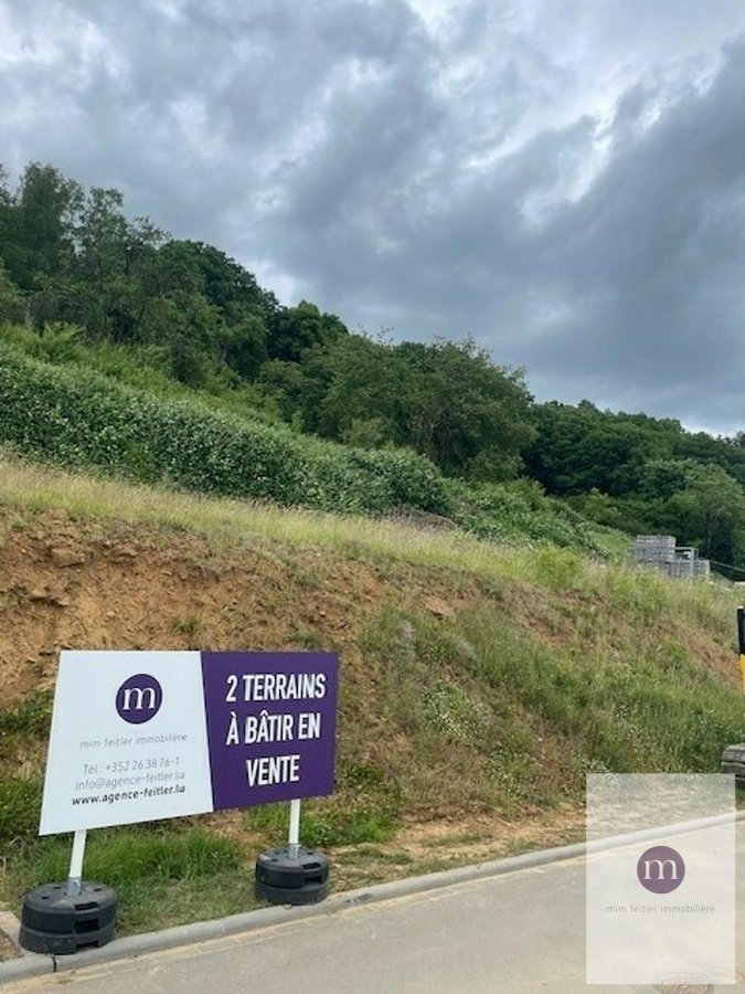 Terrain constructible