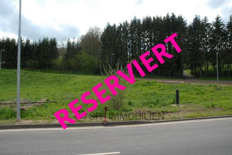 Terrain constructible