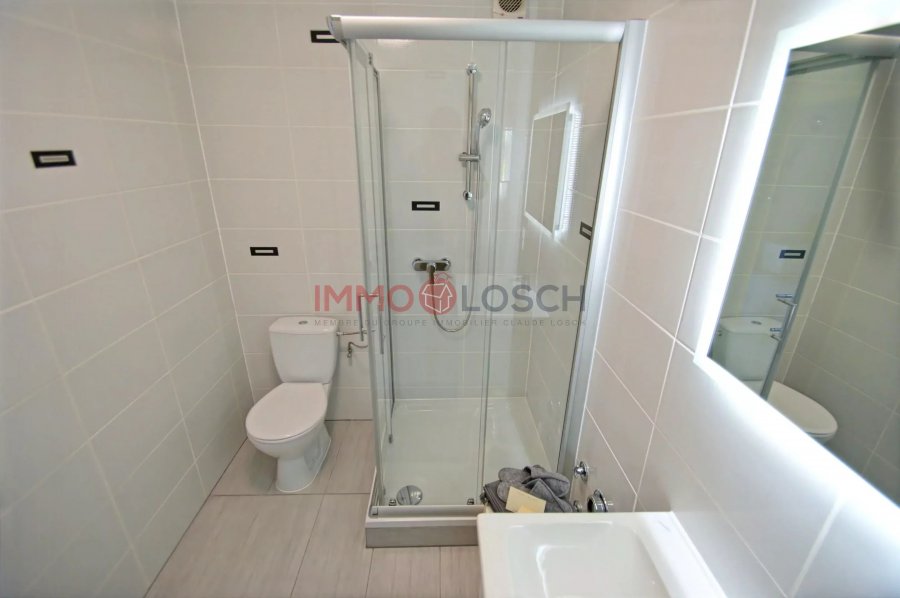 Appartement à louer 1 chambre à Dudelange