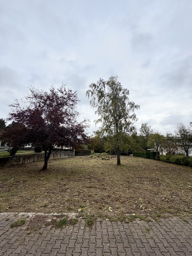 Terrain constructible