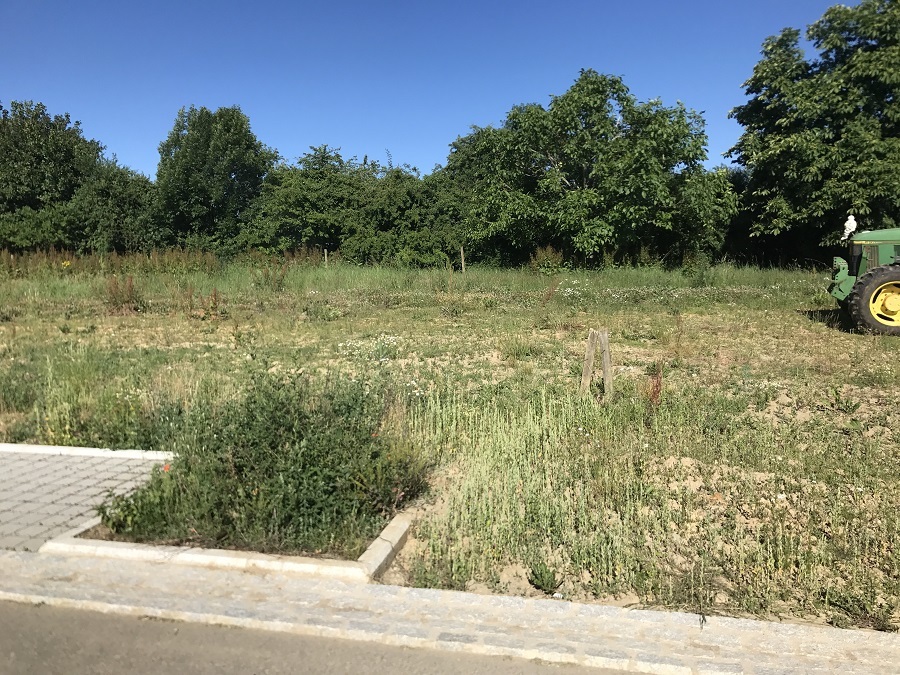 Terrain à vendre à Dahlem