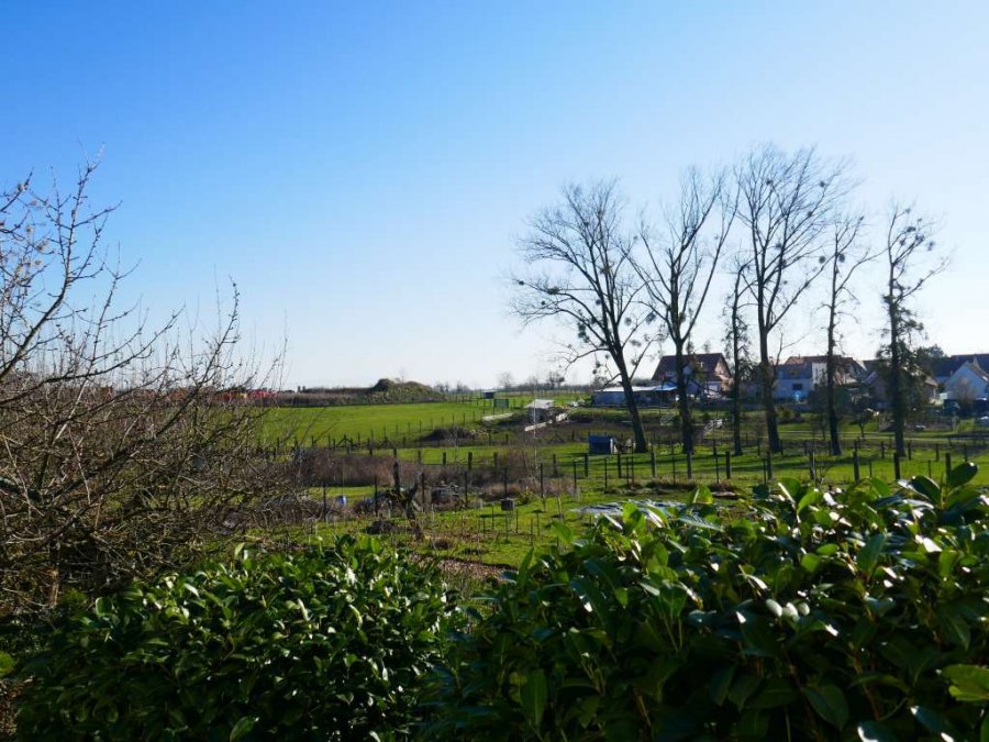 Bungalow à vendre F5 à proche de Soultz Sous Forêts