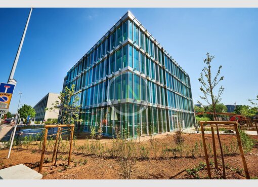 Bureau à louer à Luxembourg (LU) - Réf. 6962858