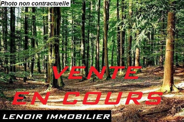 Terrain non constructible