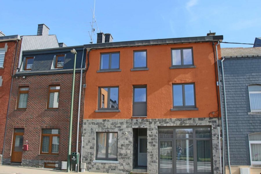 acheter immeuble de rapport 0 pièce 0 m² bastogne photo 1