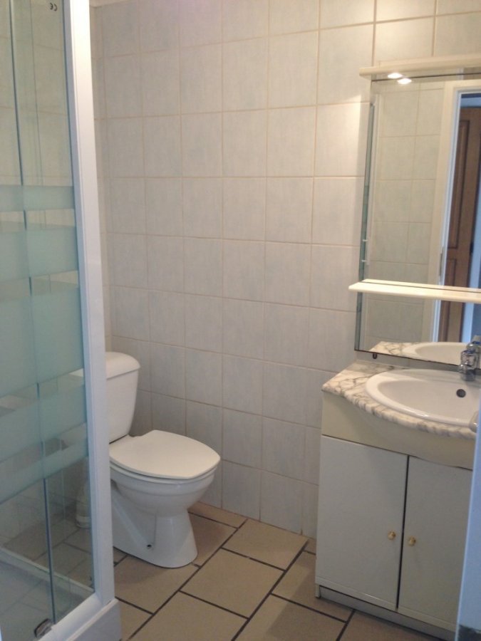 acheter immeuble de rapport 0 pièce 0 m² bastogne photo 5