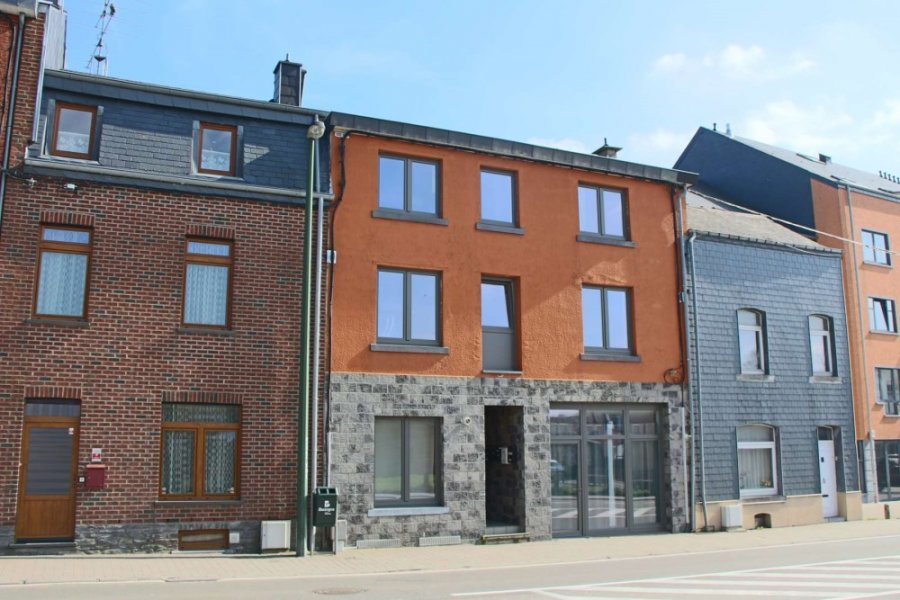 acheter immeuble de rapport 0 pièce 0 m² bastogne photo 2