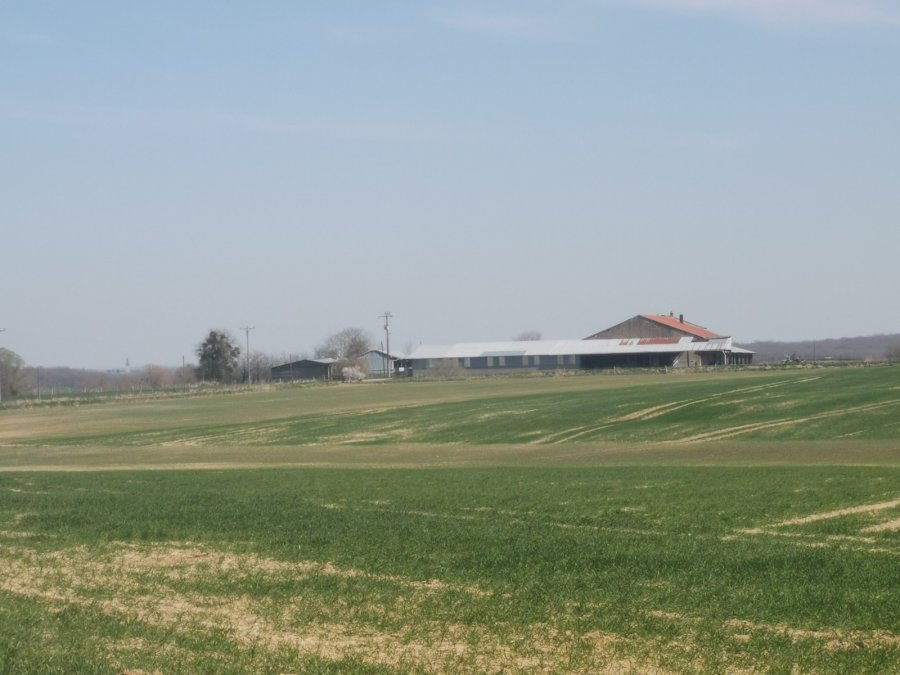 Corps de ferme à 