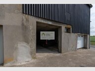 Entrepôt à louer à Wincrange - Réf. 6386987