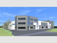 Entrepôt à louer à Contern - Réf. 3813451