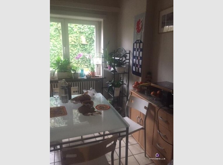 Detached house for rent in Luxembourg (LU) - Ref. 6537803