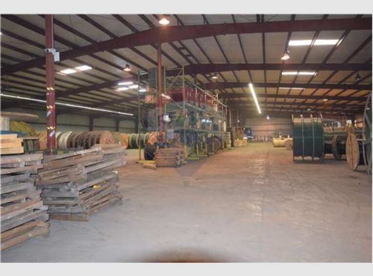 Entrepôt à louer à Bertrange (LU) - Réf. 6484811