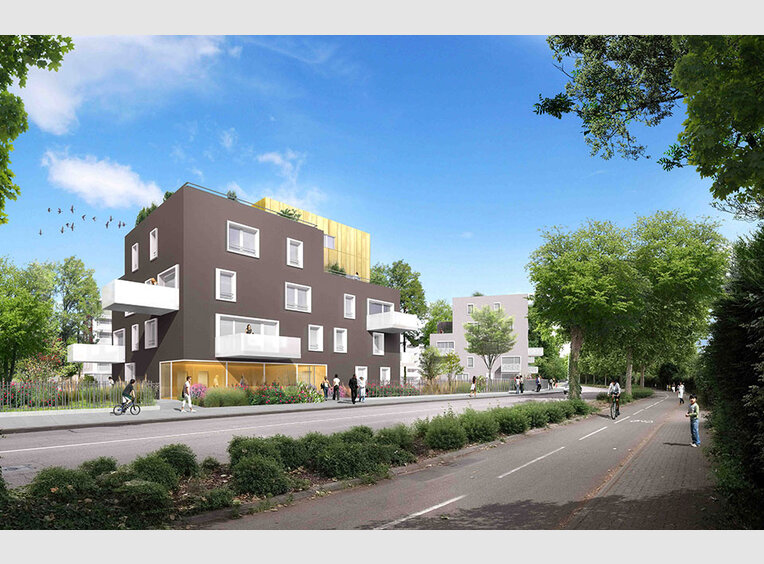 Appartement A Vendre Bas Rhin Appartement A Vendre Bas Rhin
