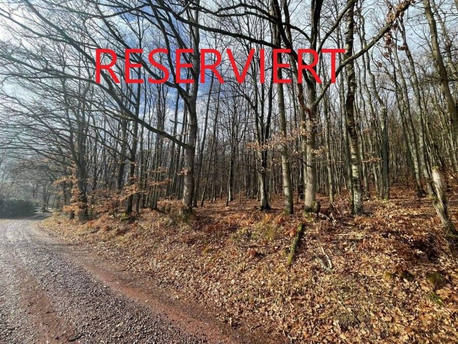 Terrain non constructible