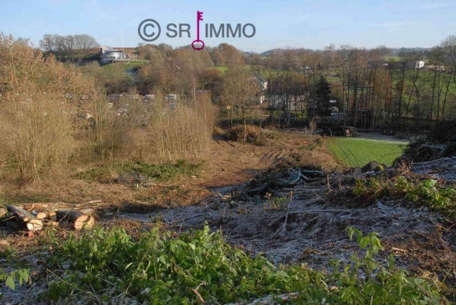 Terrain constructible à vendre à Körperich