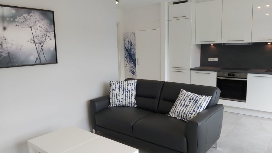 Wohnung zu vermieten 1 Schlafzimmer in Kayl