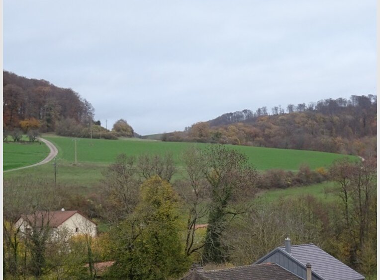 Maison à vendre F6 à Merschweiller (FR) - Réf. 7021819