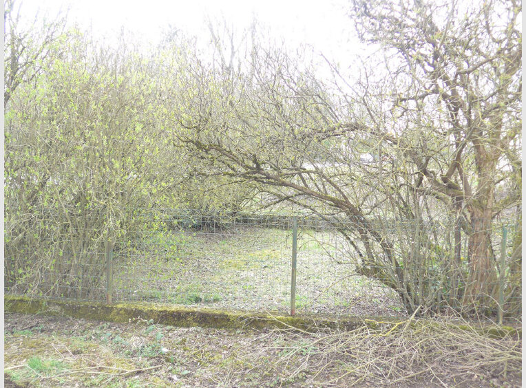 Ferme à vendre 5 Pièces à Bitburg (DE) - Réf. 7203067
