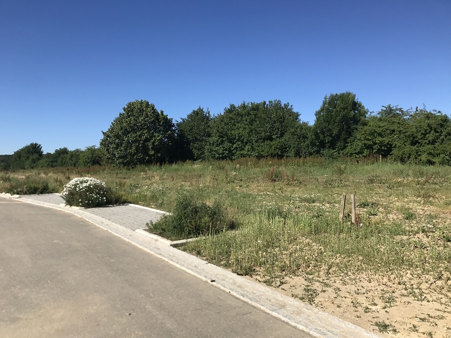 Terrain à vendre à Dahlem