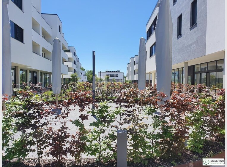 Büro zur Miete in Steinfort (LU) - Ref. 6818636