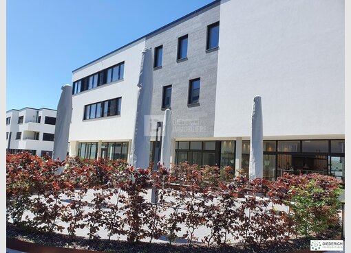 Büro zur Miete in Steinfort (LU) - Ref. 6818636