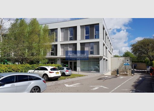 Entrepôt à louer à Windhof (Koerich) (LU) - Réf. 6849948