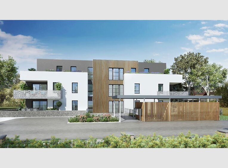 Vente Appartement Haut Rhin Vente Appartement Haut Rhin