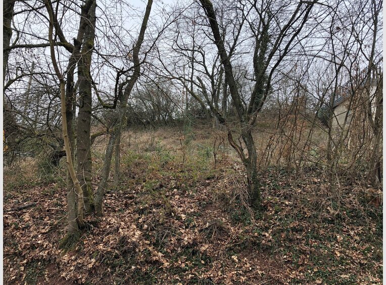 Terrain constructible à vendre à Wadern (DE) - Réf. 6172332