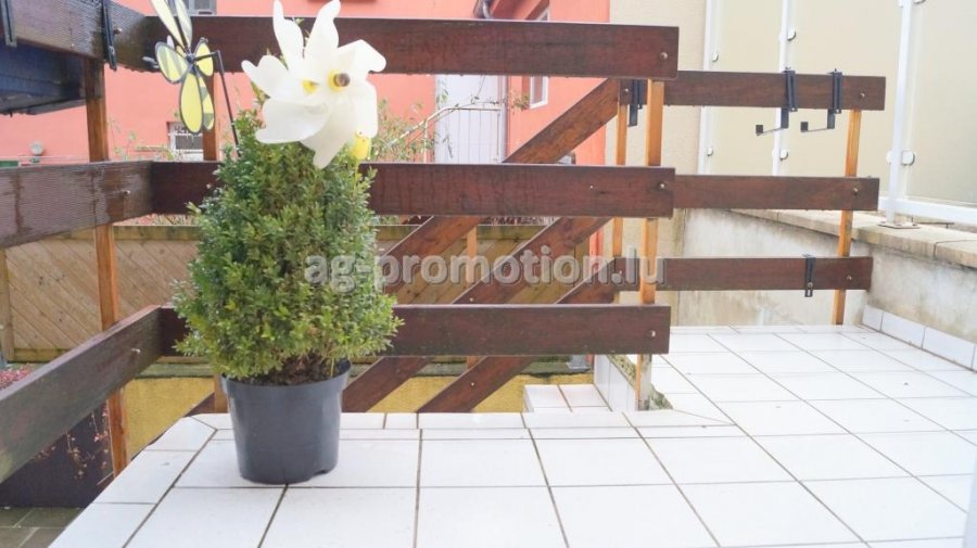 Maison à vendre 6 chambres à Esch-sur-Alzette