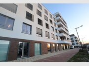 Bureau à louer à Bertrange - Réf. 6625996