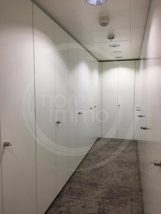 Bureau à louer à Luxembourg-Belair