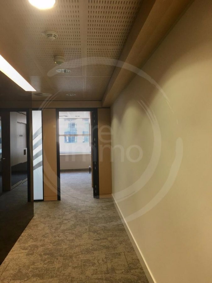 Bureau à louer à Luxembourg-Belair