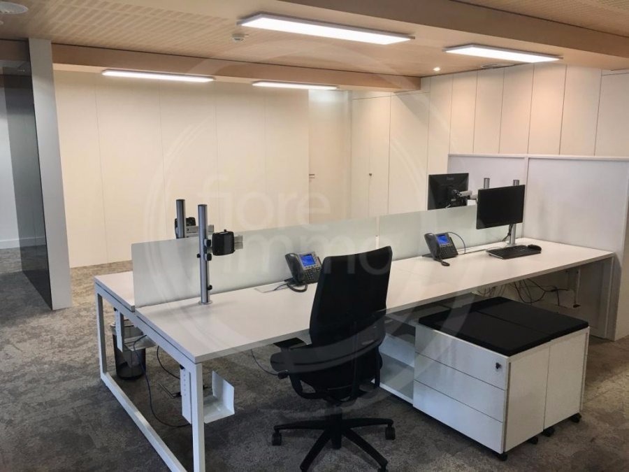 Bureau à louer à Luxembourg-Belair