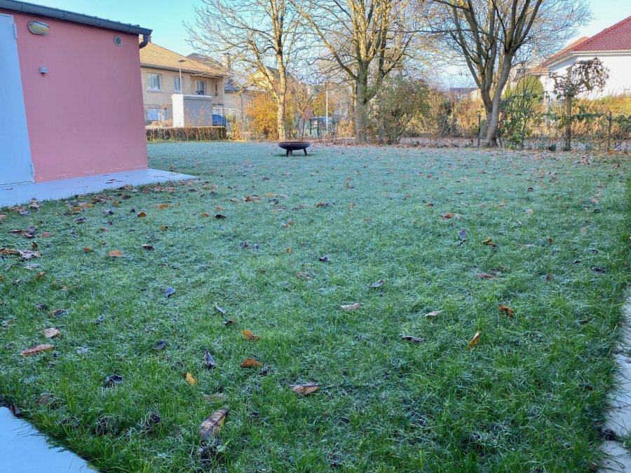 Appartement à louer 1 chambre à Crauthem