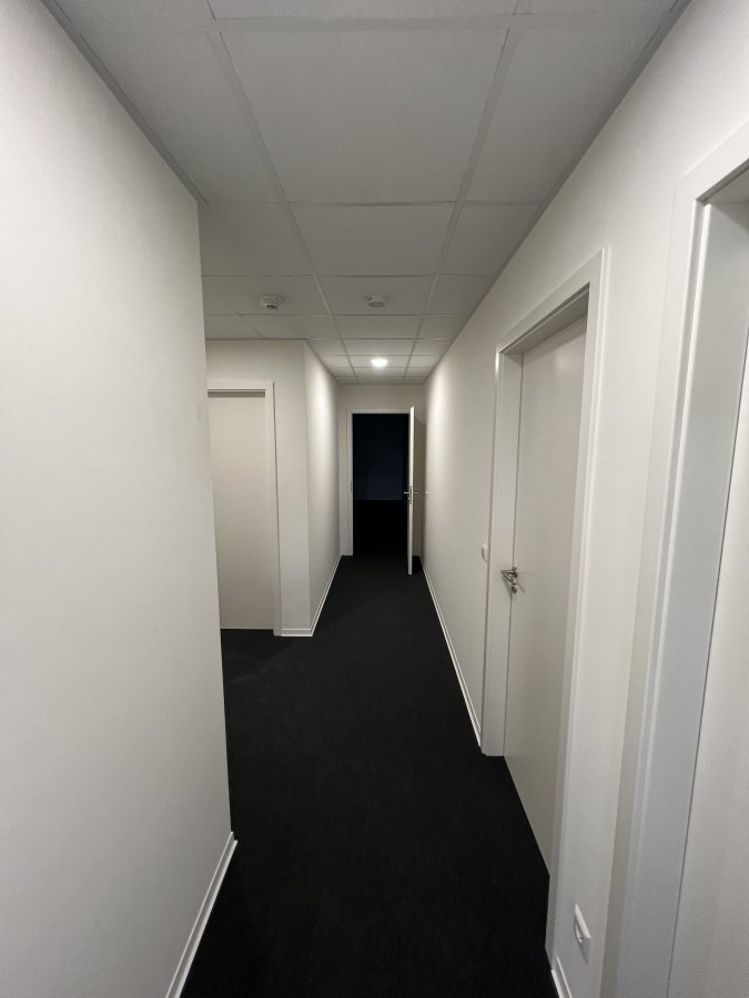 Entrepôt à louer à Sprinkange