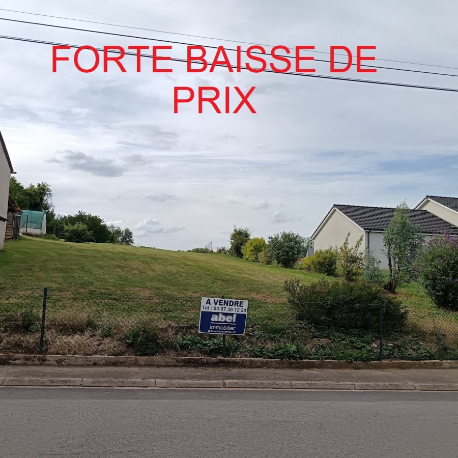 Terrain constructible