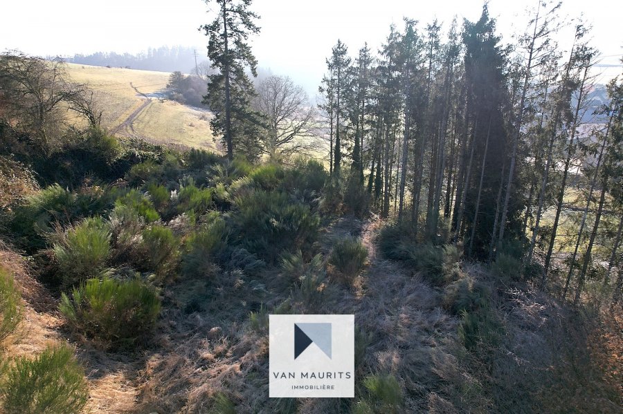 Terrain constructible à vendre à Arsdorf