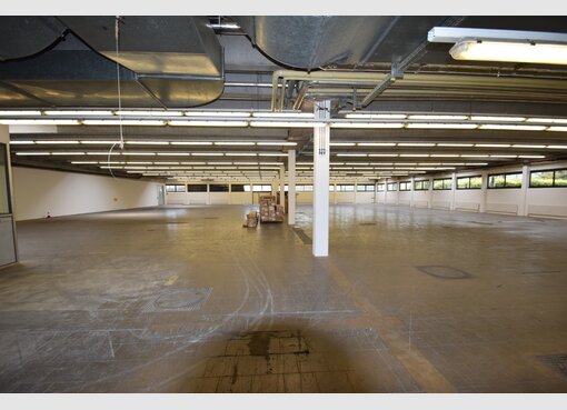 Entrepôt à louer à Luxembourg (LU) - Réf. 7158317