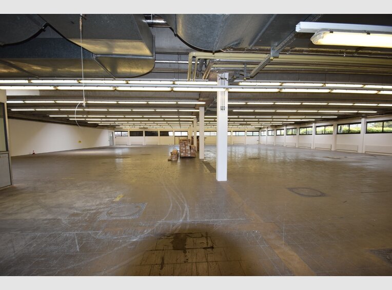 Entrepôt à louer à Luxembourg (LU) - Réf. 7158317