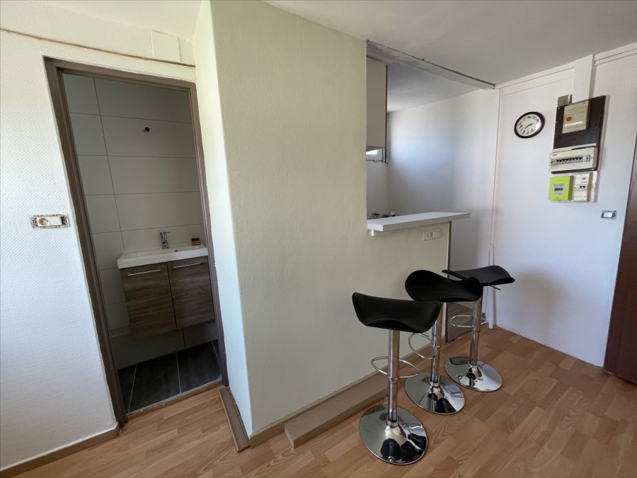 Appartement à louer F2 à Ottmarsheim