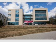 Bureau à louer à Luxembourg-Centre ville (Cloche-d'Or) - Réf. 6693965