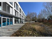 Entrepôt à louer à Windhof - Réf. 6024541